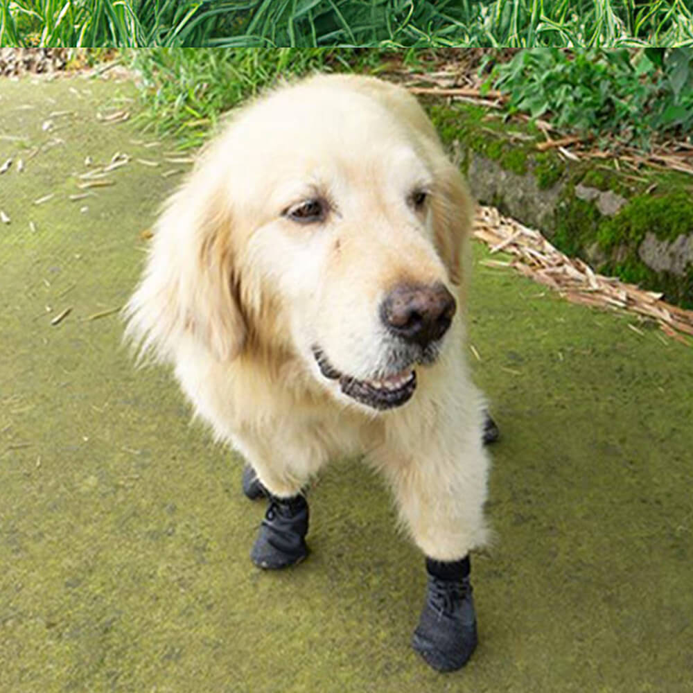 Outdoor Waterproof Breathable Hiking and Running Non-Slip Dog Boots