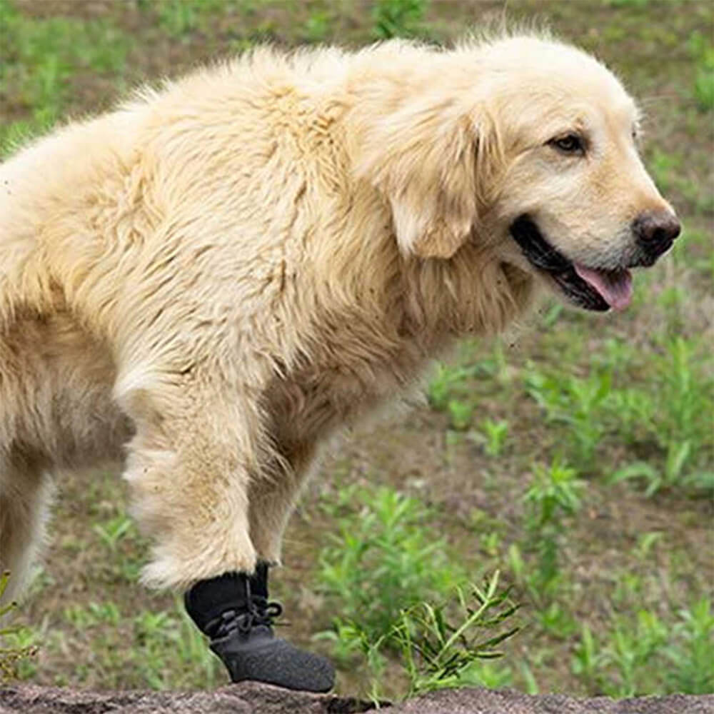 Outdoor Waterproof Breathable Hiking and Running Non-Slip Dog Boots