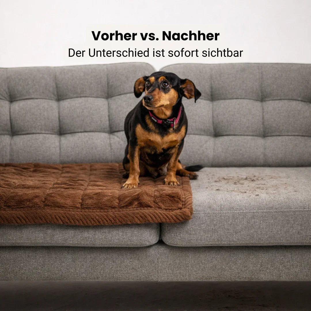 Pet Couch Protector