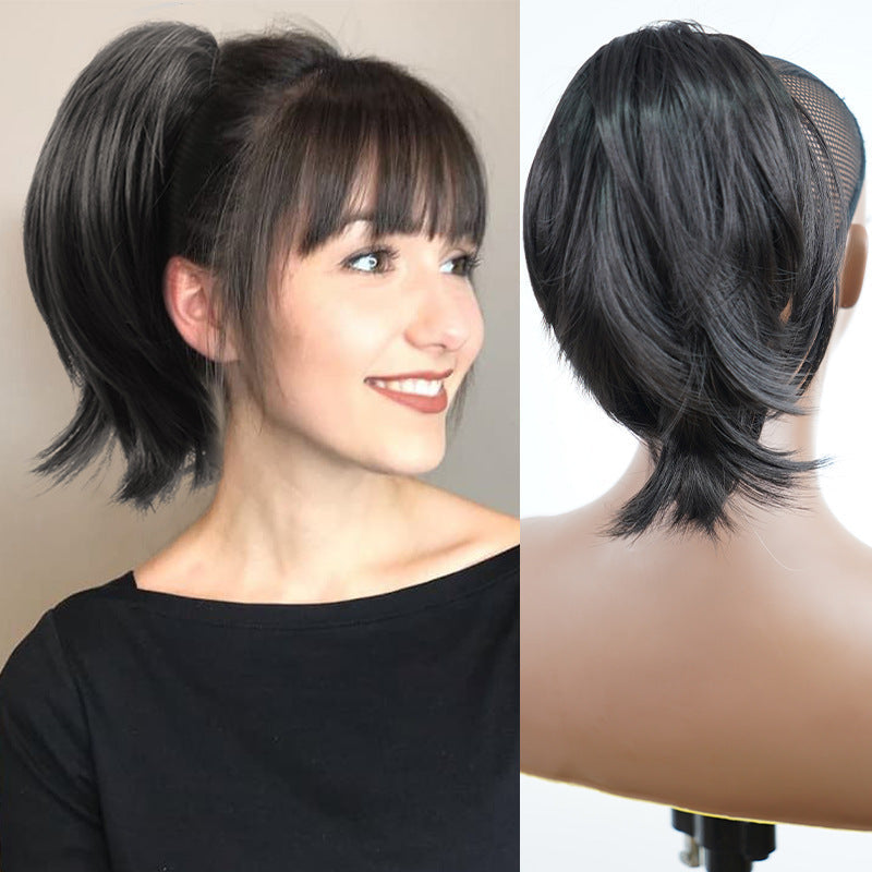 Ponytail Hair Extension