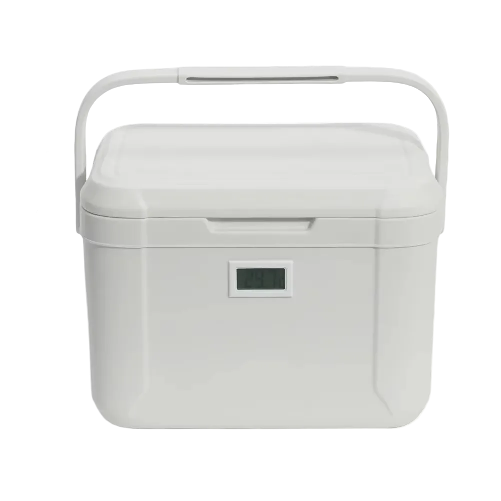Portable 5-Litre Mini Cooler for Car and Camping