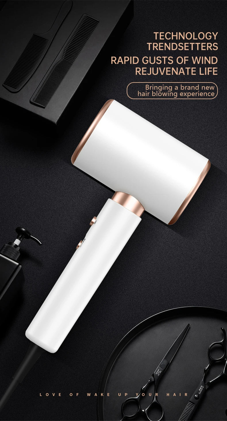 Professional 2400W Ionic Hair Dryer with Hot and Cold Air Settings