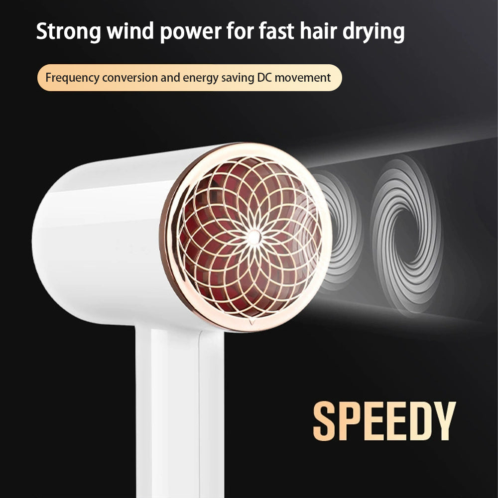 Professional 2400W Ionic Hair Dryer with Hot and Cold Air Settings