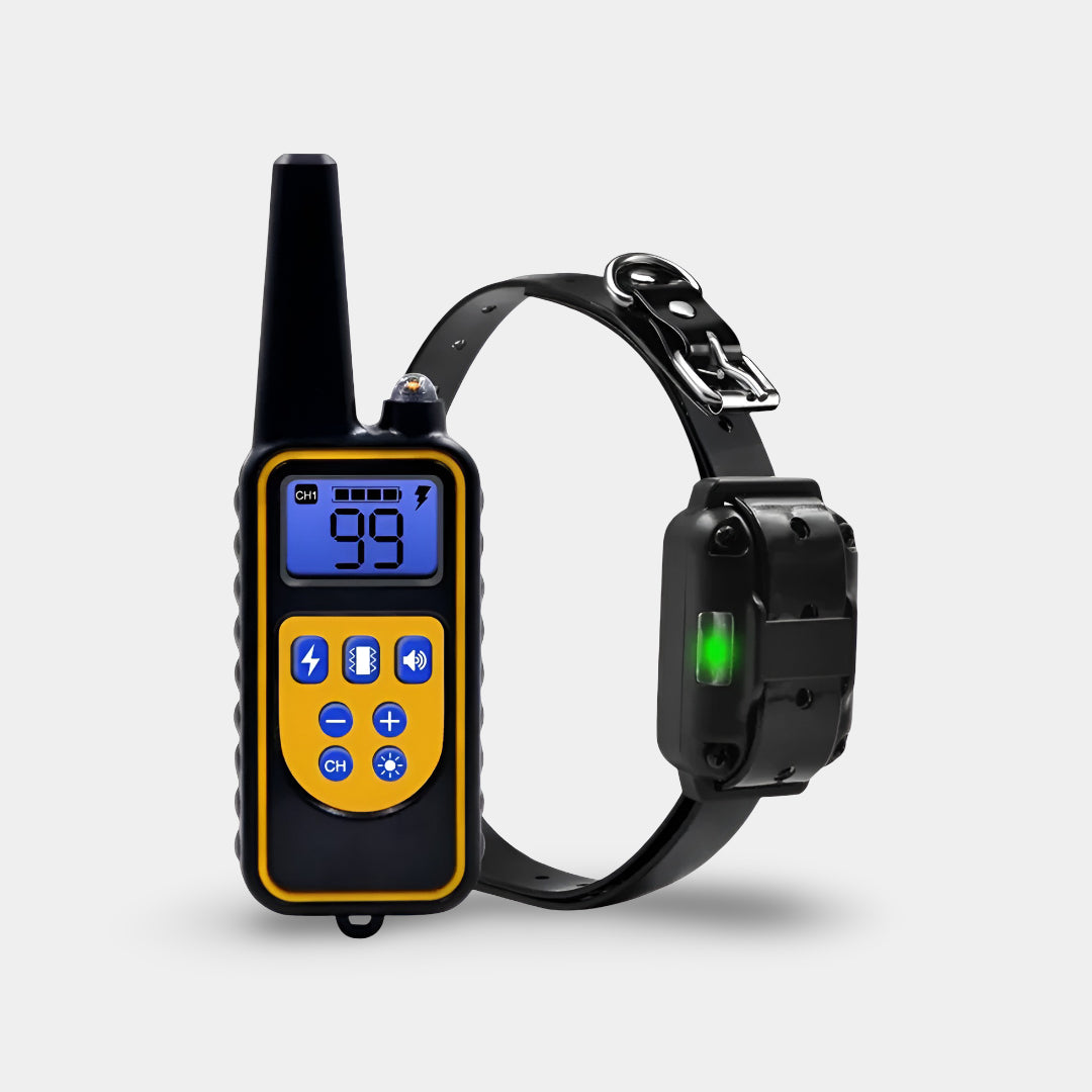Rechargeable Dog Training Collar with Remote