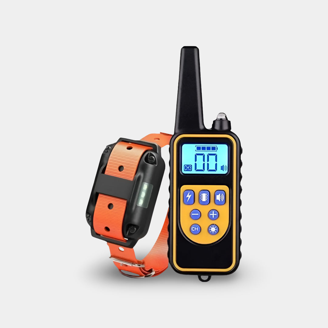 Rechargeable Dog Training Collar with Remote