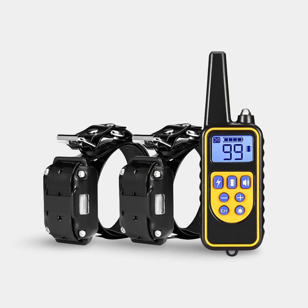 Rechargeable Dog Training Collar with Remote