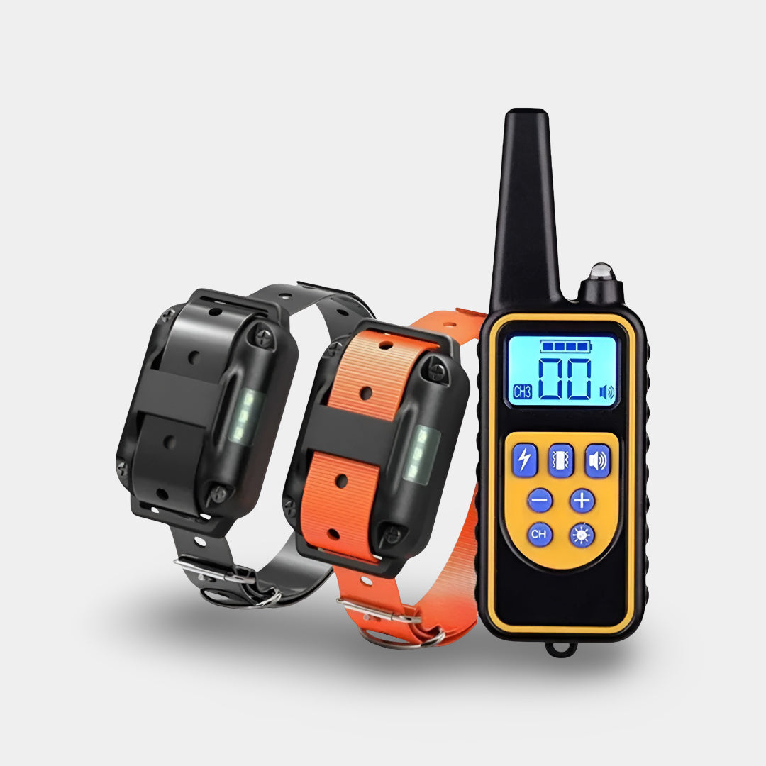 Rechargeable Dog Training Collar with Remote
