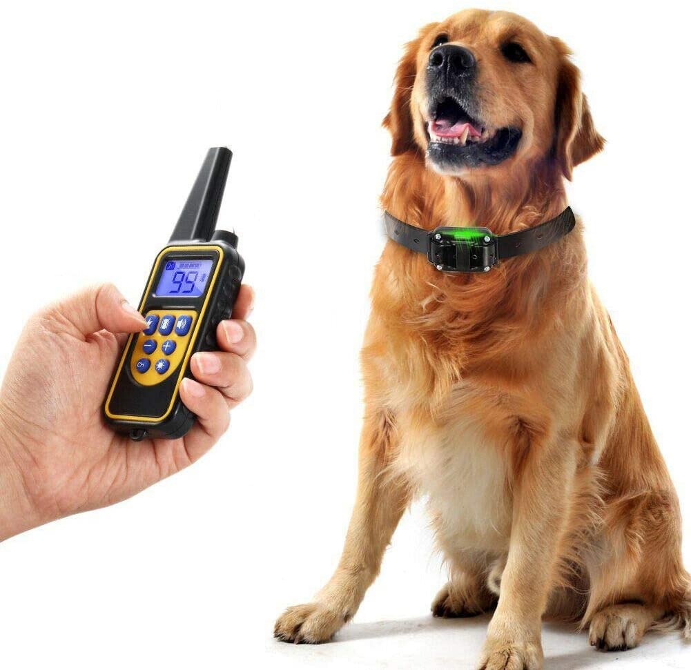 Rechargeable Electric Dog Training Collar with 800m Range