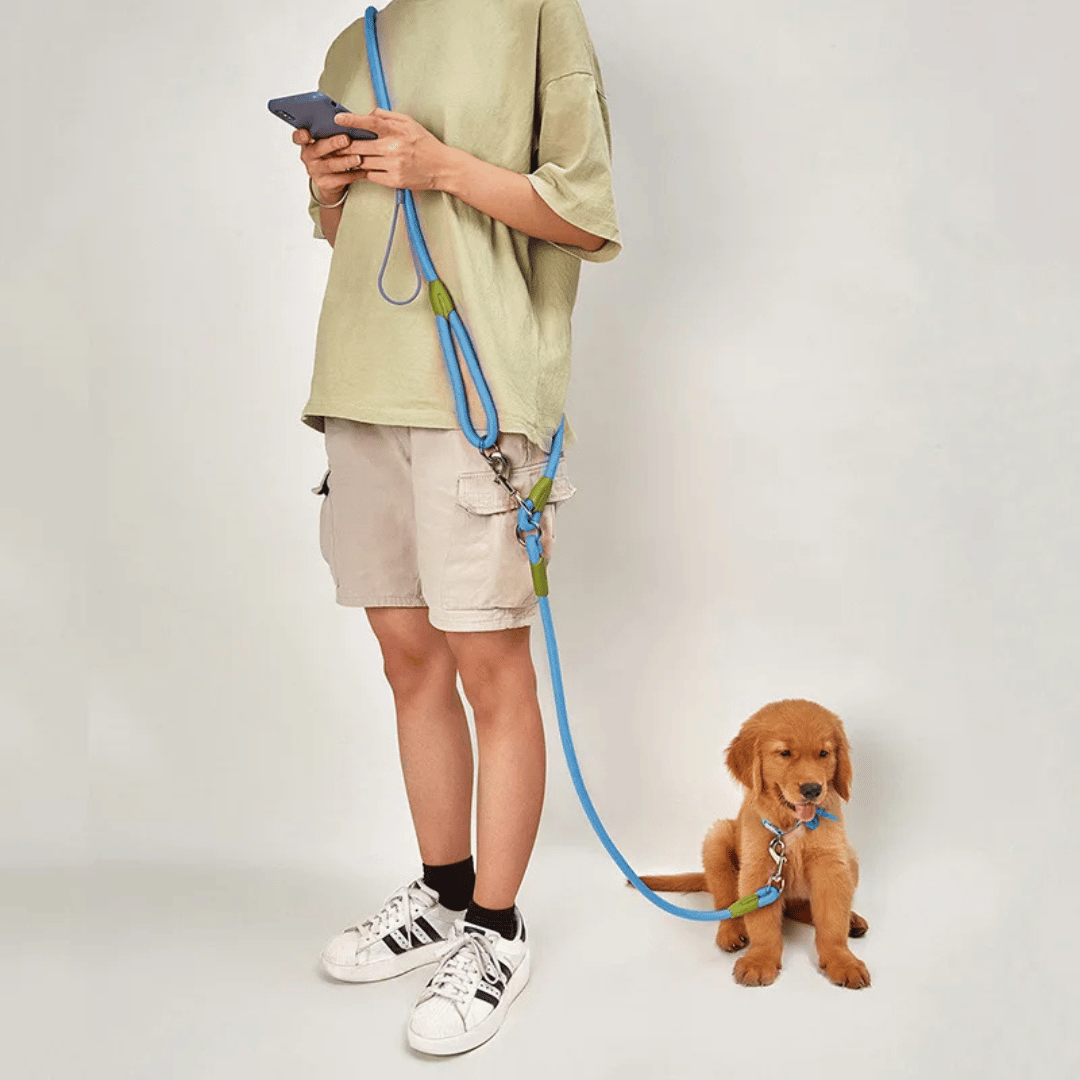 Reflective Hands-Free Dog Leash for Running & Large Dogs