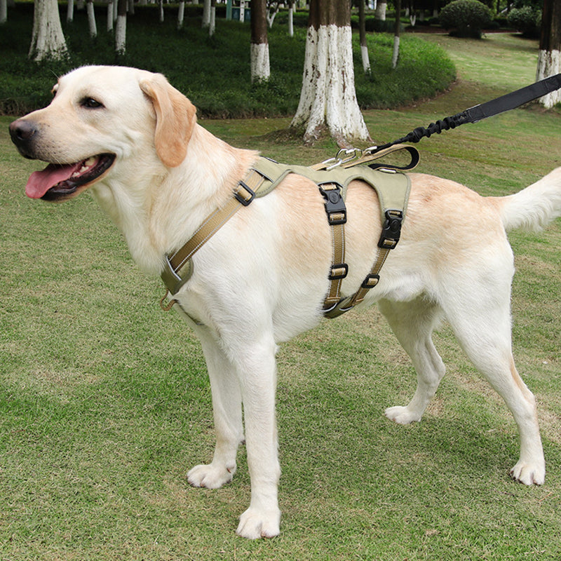 Reflective No-Pull Dog Harness – Escape-Proof and Adjustable for Safe Walks