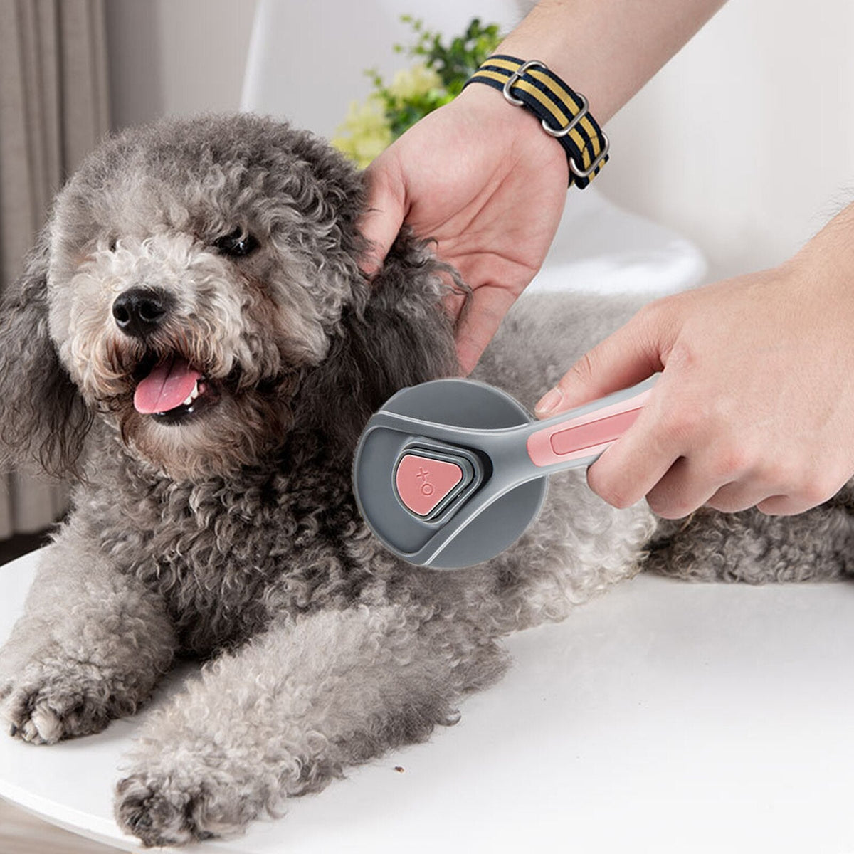 Self-Cleaning Pet Grooming Brush