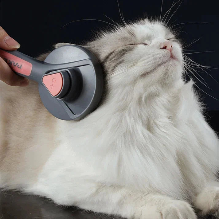 Self-Cleaning Pet Grooming Brush