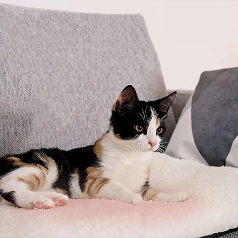 Self-Warming Cat Mat - Luxury, Washable, Electricity-Free