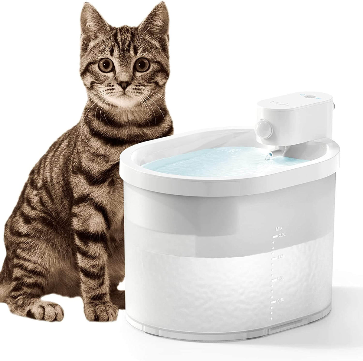 Smart Cat Water Fountain with Sensor