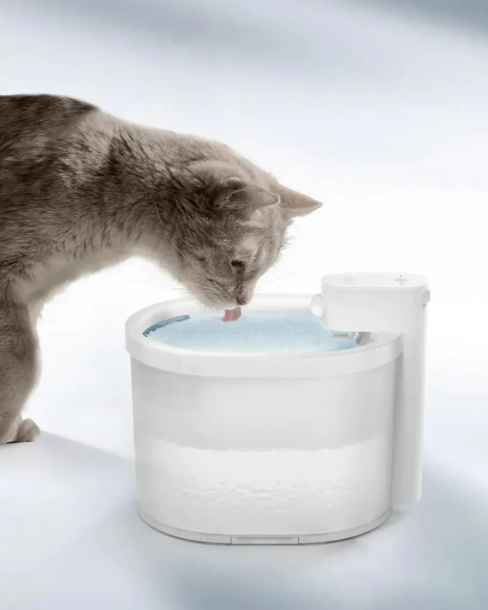 Smart Cat Water Fountain with Sensor