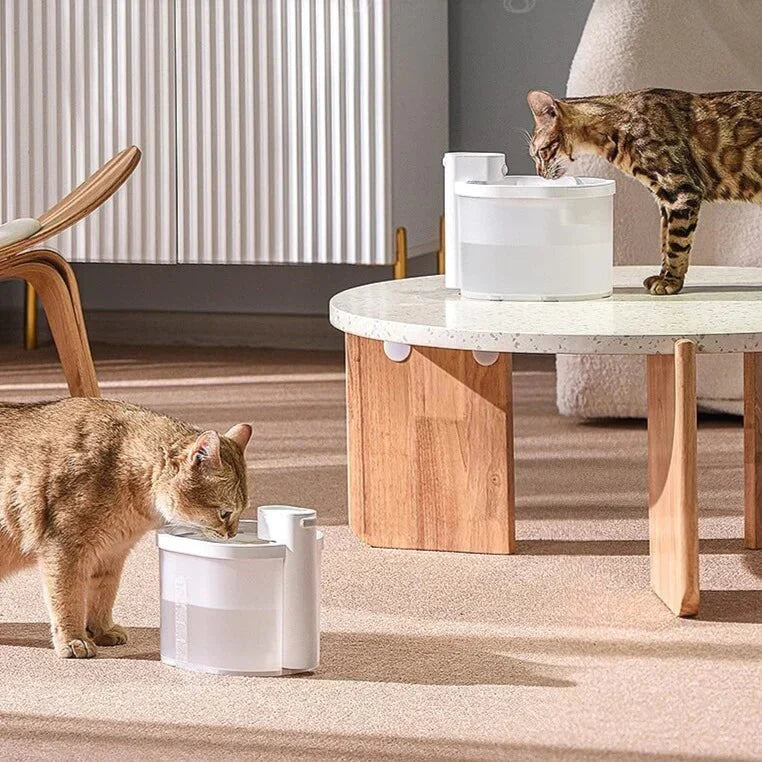 Smart Cat Water Fountain with Sensor