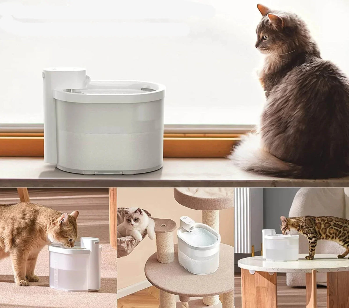 Smart Cat Water Fountain with Sensor