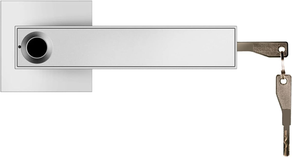 Smart Fingerprint Door Lever Lock with Key Access and 30-User Capacity