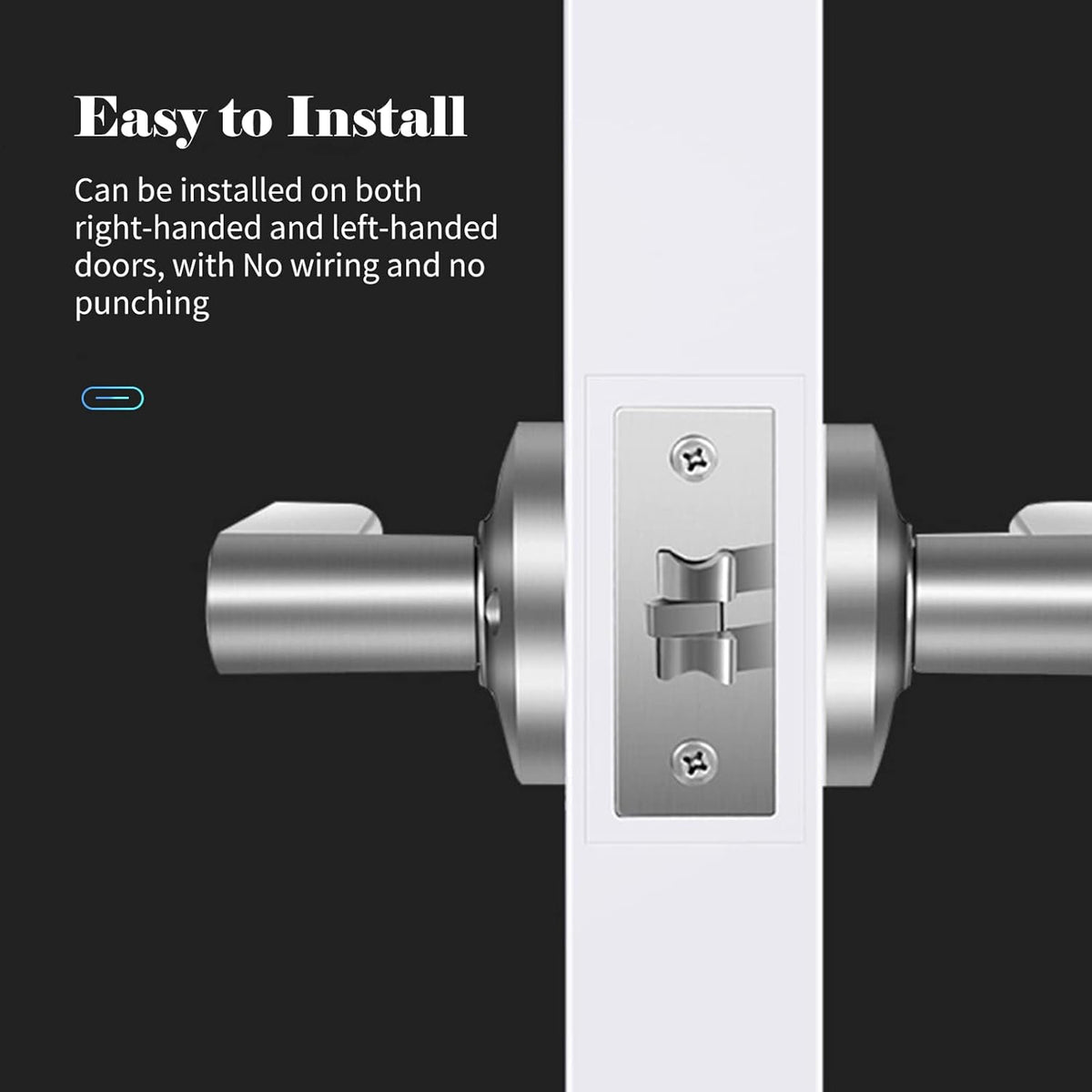 Smart Fingerprint Door Lever Lock with Key Access and 30-User Capacity