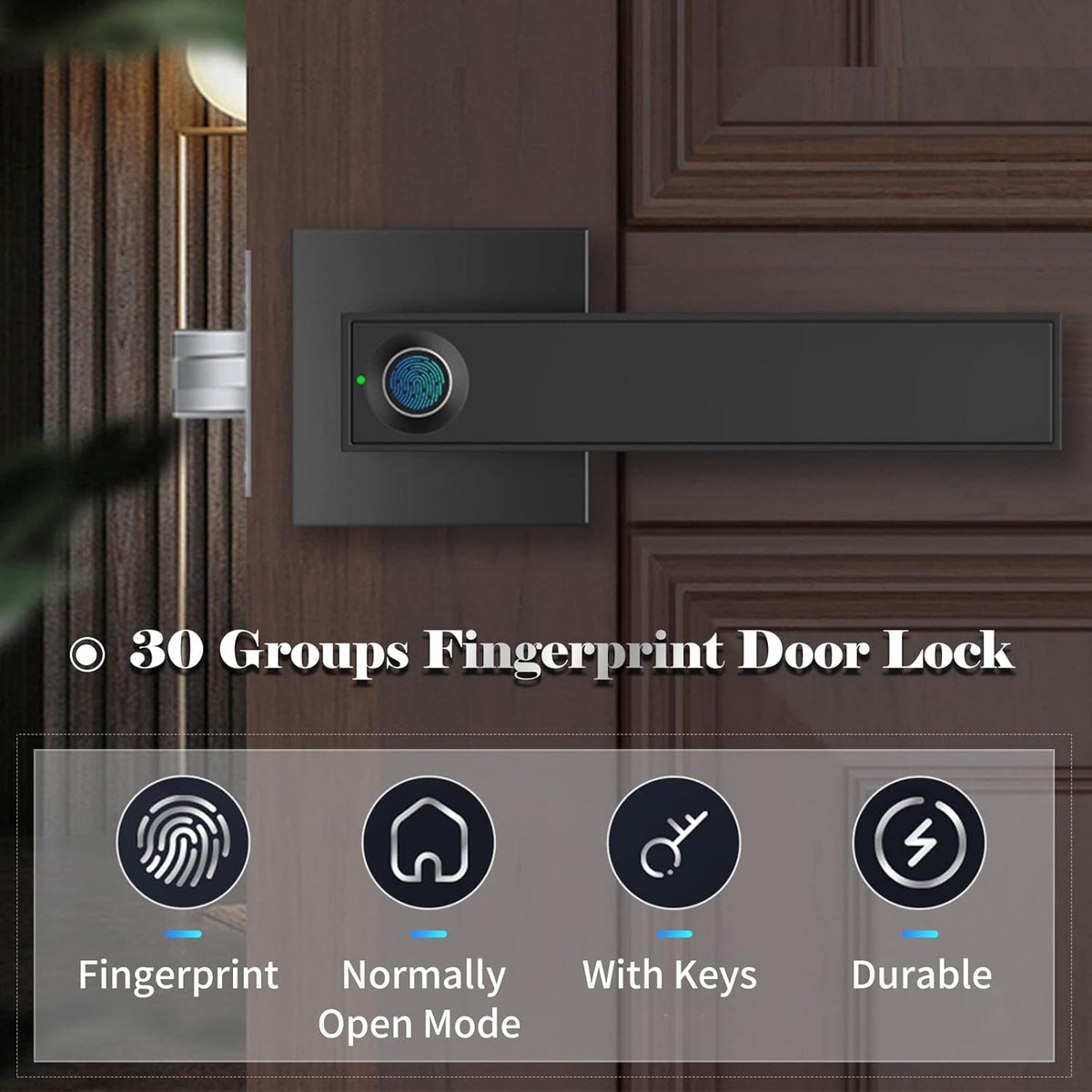 Smart Fingerprint Door Lever Lock with Key Access and 30-User Capacity