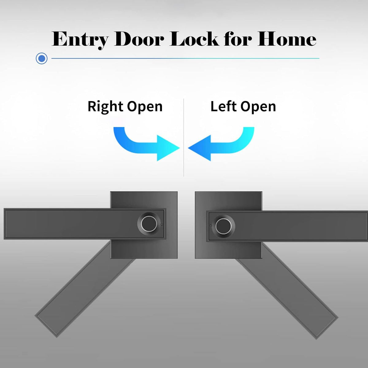 Smart Fingerprint Door Lever Lock with Key Access and 30-User Capacity