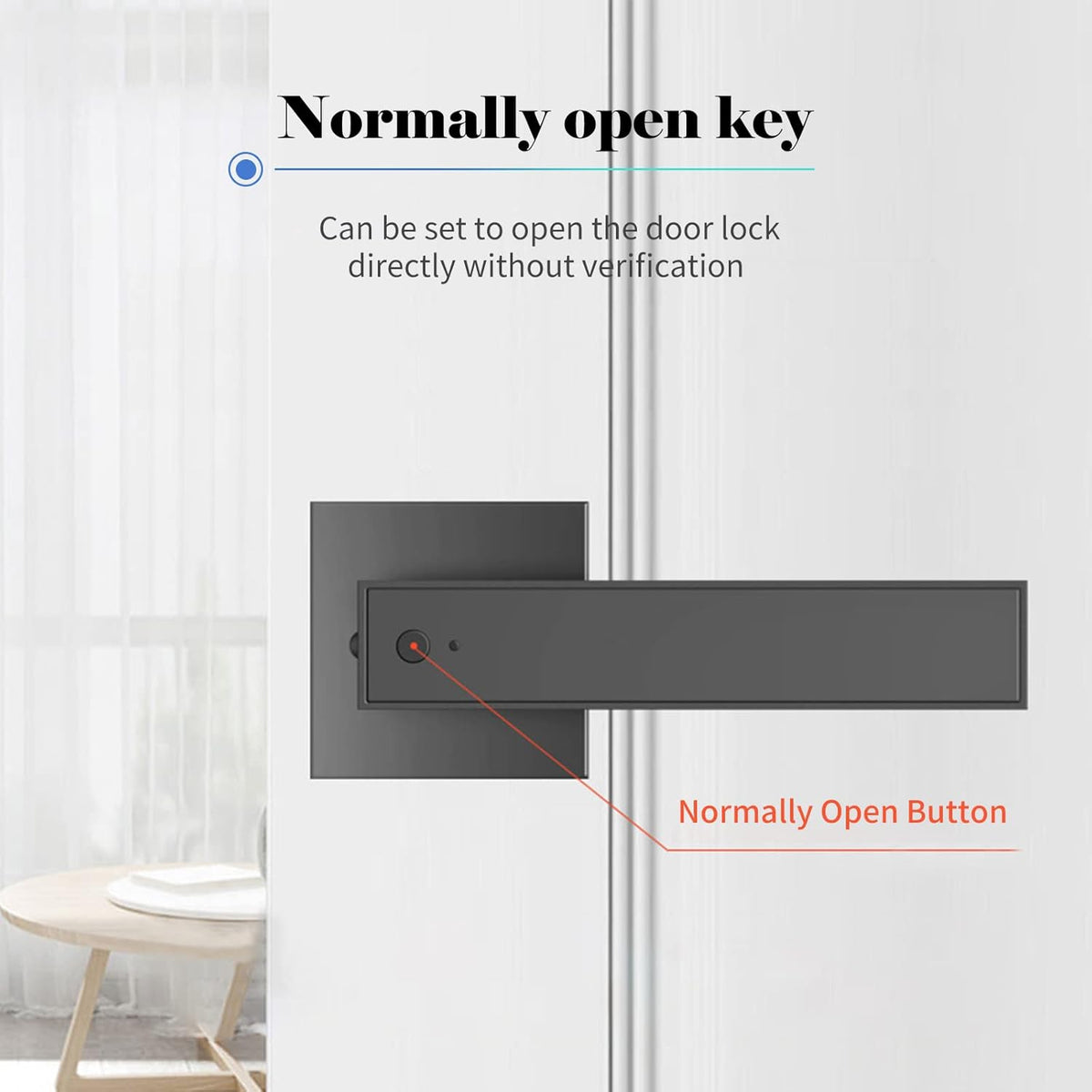 Smart Fingerprint Door Lever Lock with Key Access and 30-User Capacity