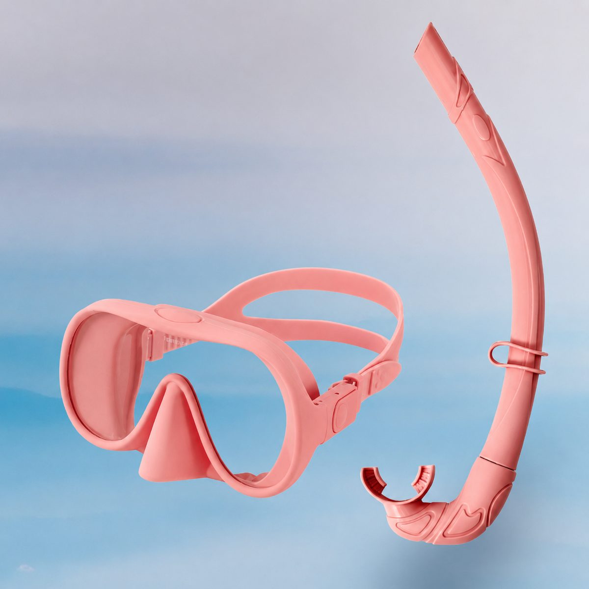 Snorkel Mask