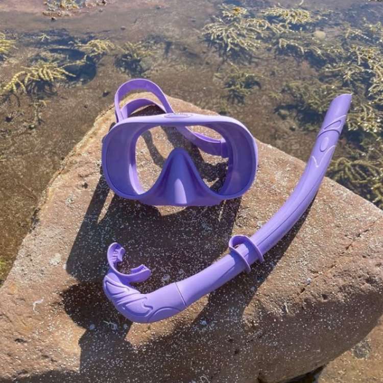 Snorkel Mask