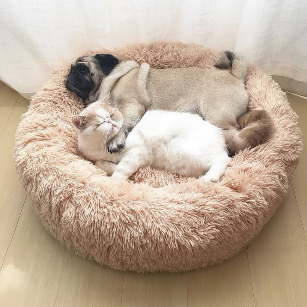 Soft and Supportive Plush Cat Bed