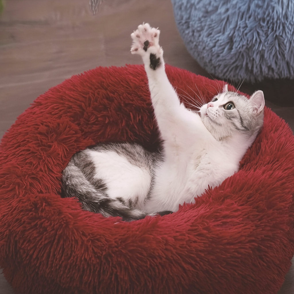Soft and Supportive Plush Cat Bed