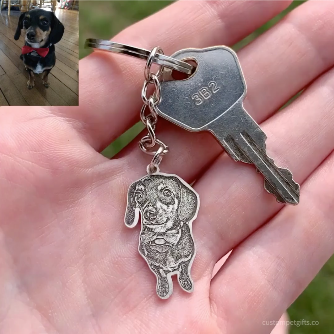 SoulKey | Feel the Joy of Precious Moments with Your Pet Every Day