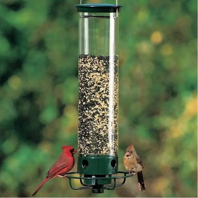 Squirrel-Proof Green Metal and Polycarbonate Bird Feeder