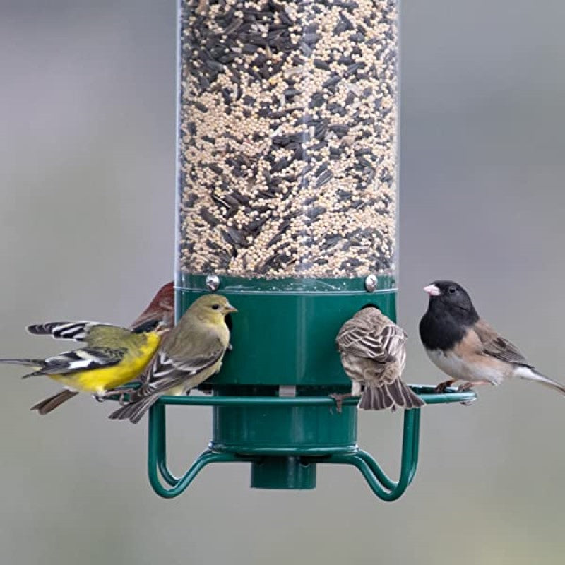 Squirrel-Proof Green Metal and Polycarbonate Bird Feeder