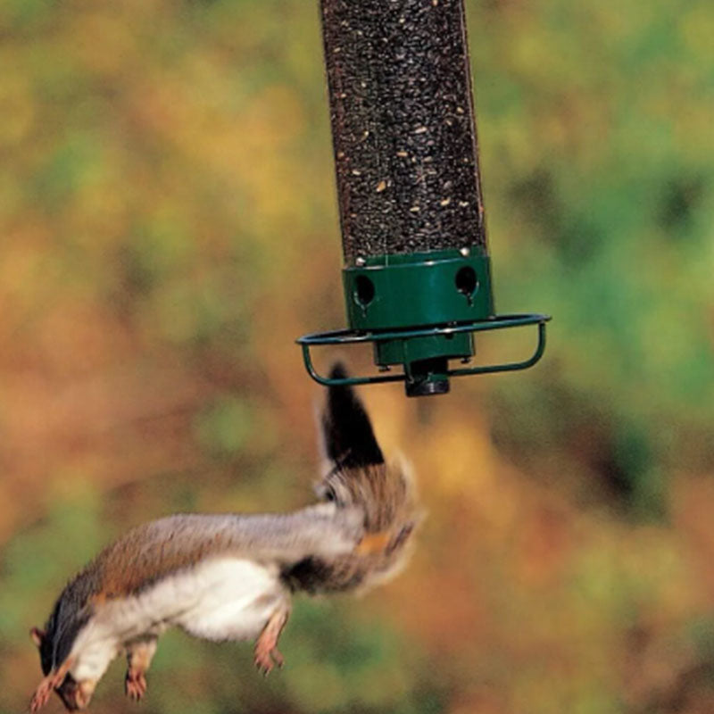 Squirrel-Proof Green Metal and Polycarbonate Bird Feeder