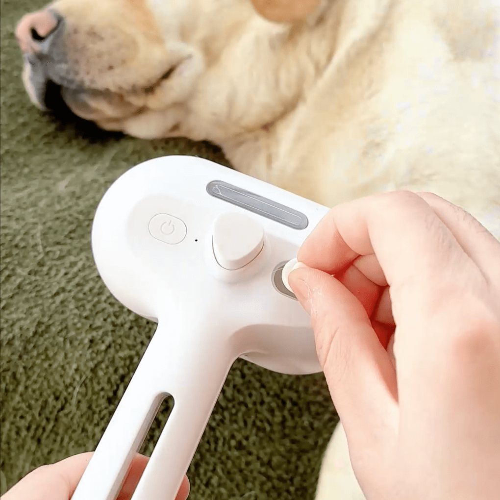 Steam Brush for Dogs