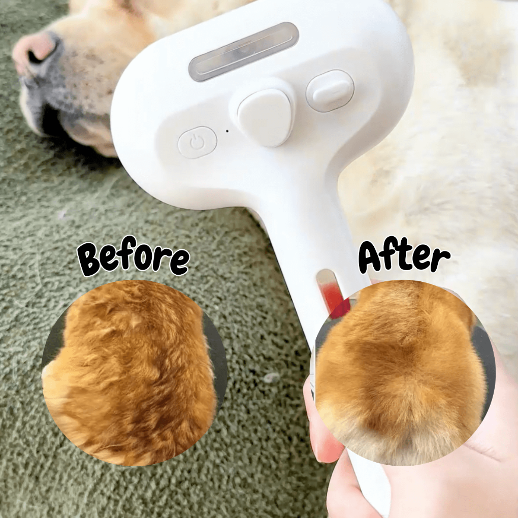 Steam Brush for Dogs