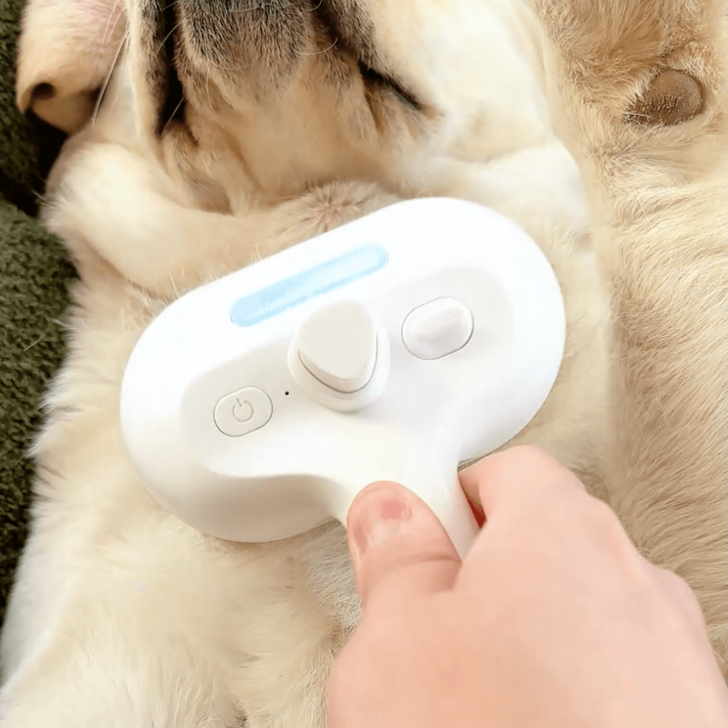 Steam Brush for Dogs