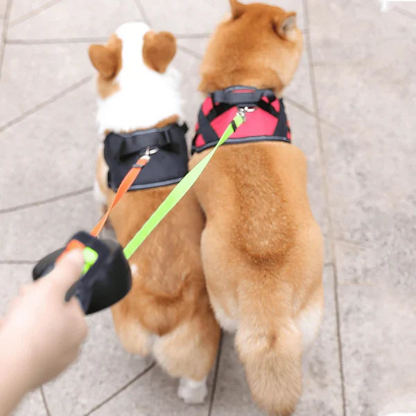 Tangle-Free Double Dog Leash