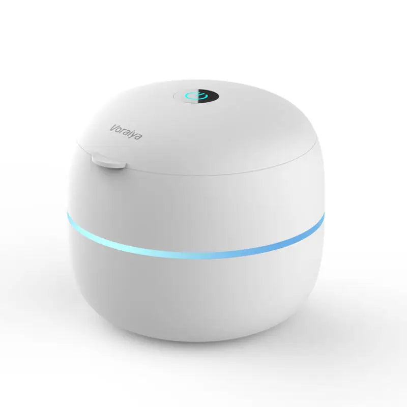 Ultrasonic Denture Cleaner