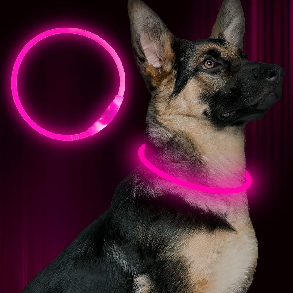 USB Rechargeable LED Dog Collar Safety Light