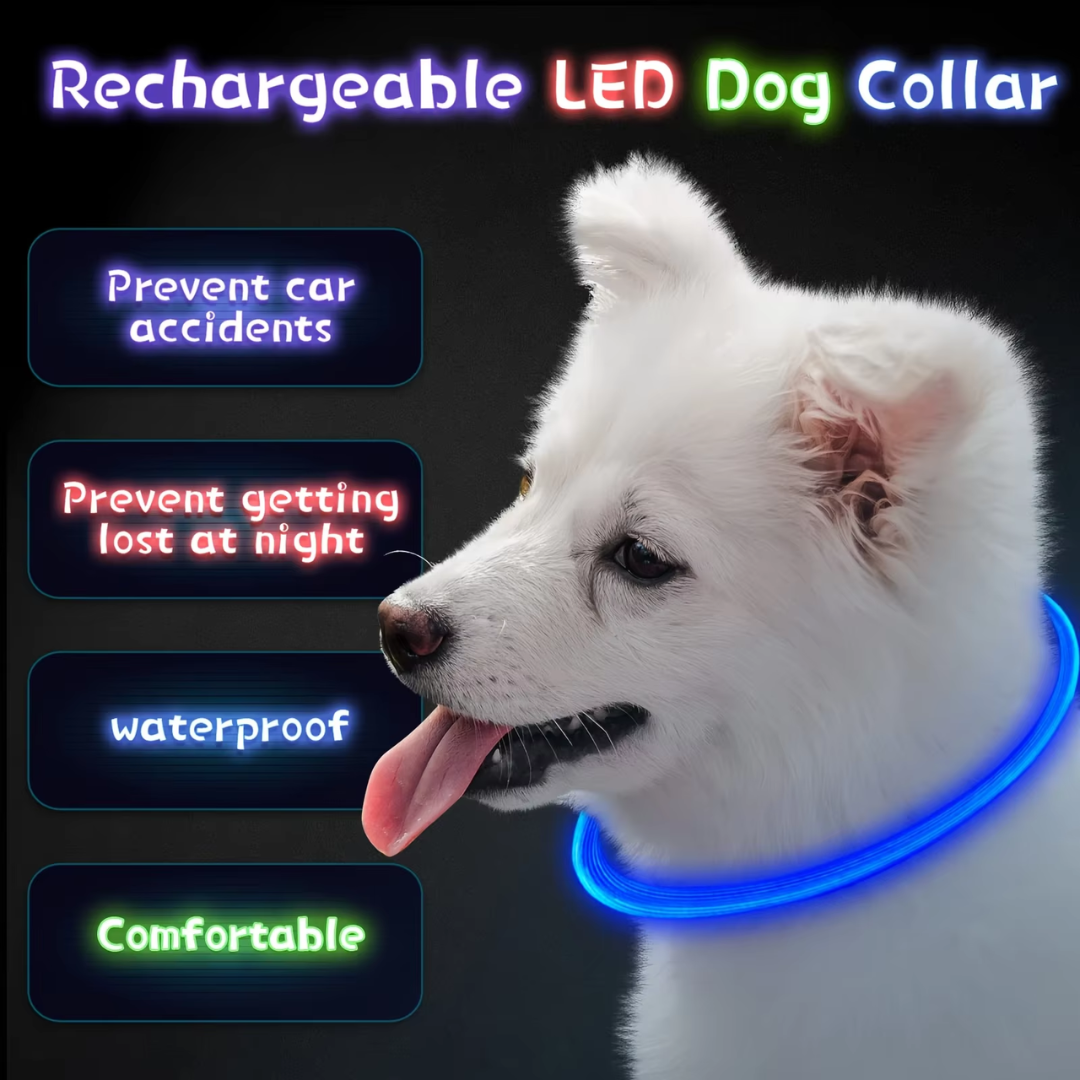 USB Rechargeable LED Dog Collar Safety Light
