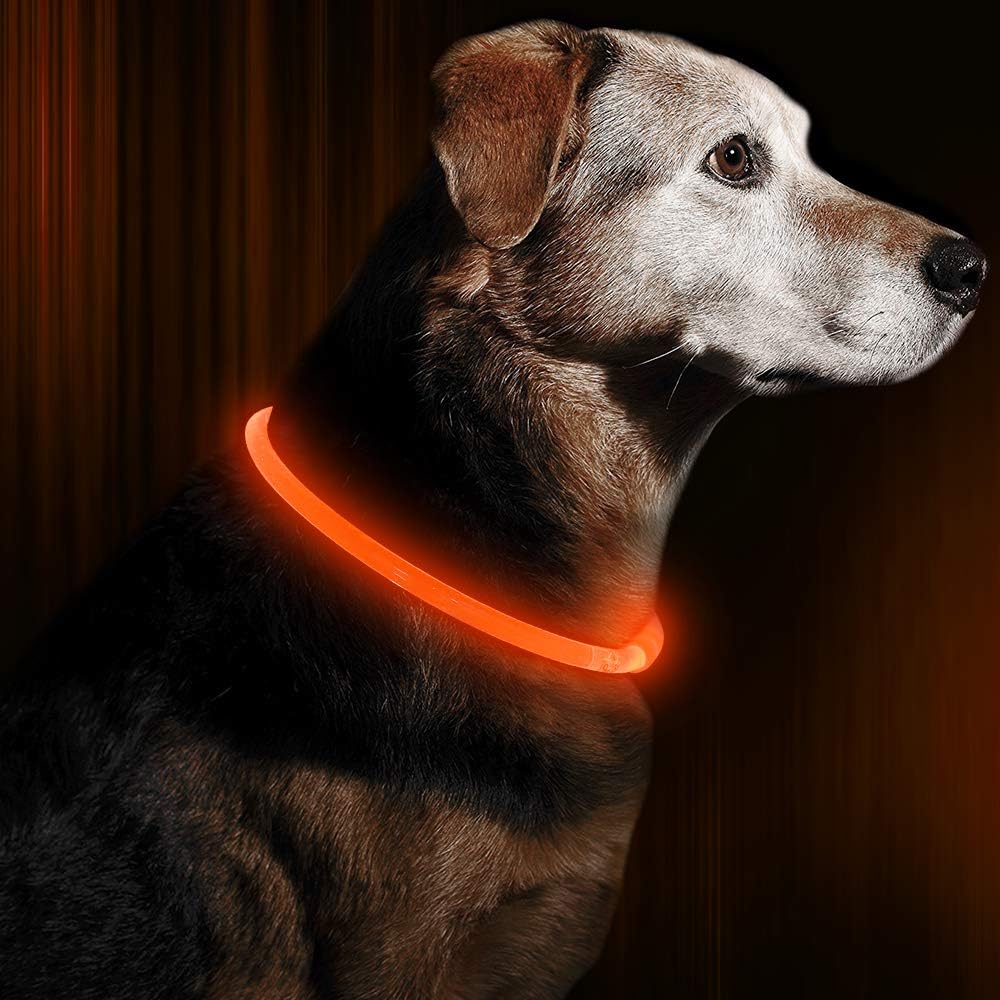 USB Rechargeable LED Dog Collar Safety Light