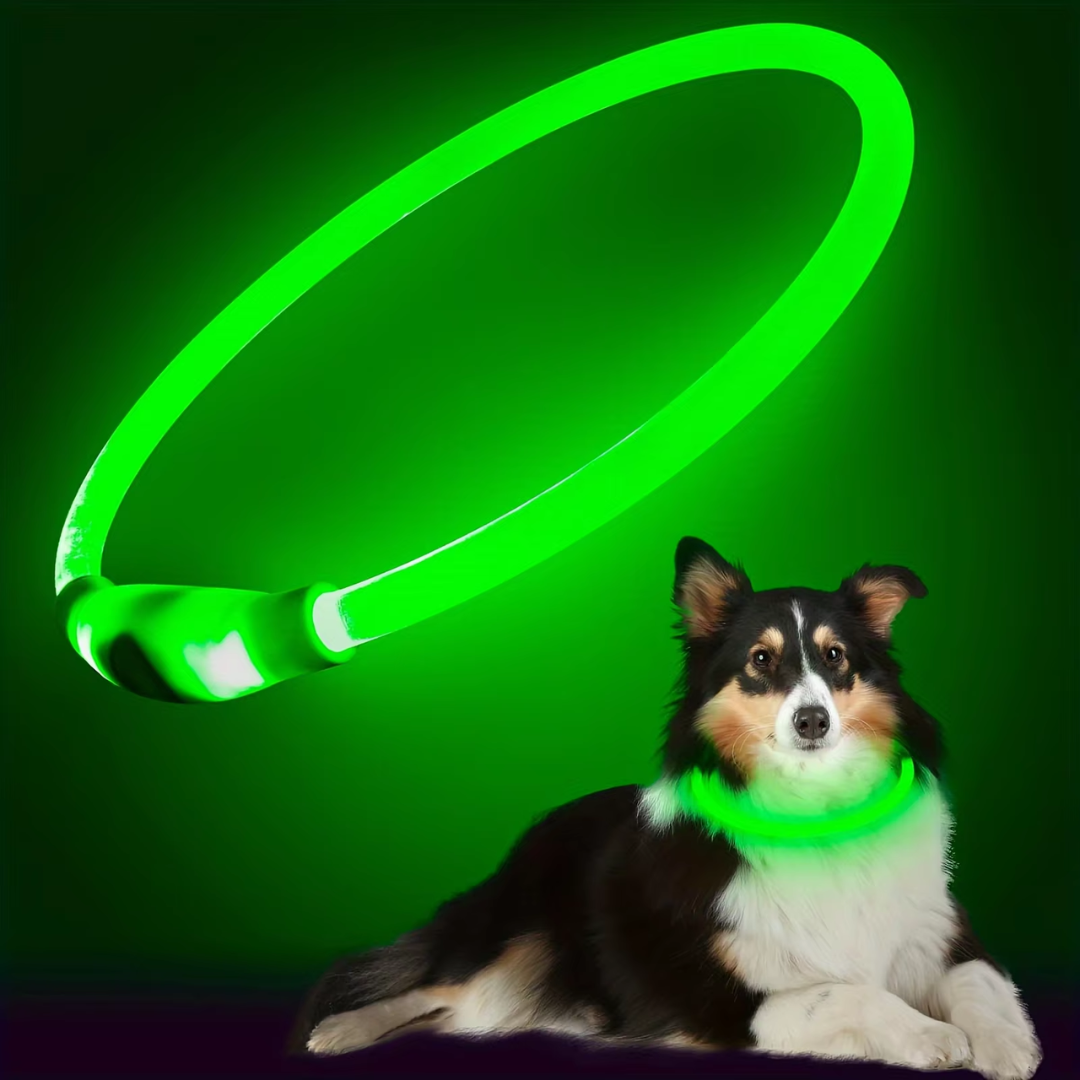 USB Rechargeable LED Dog Collar Safety Light