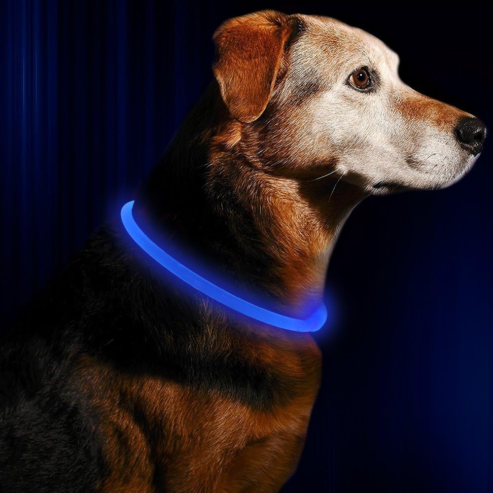 USB Rechargeable LED Dog Collar Safety Light