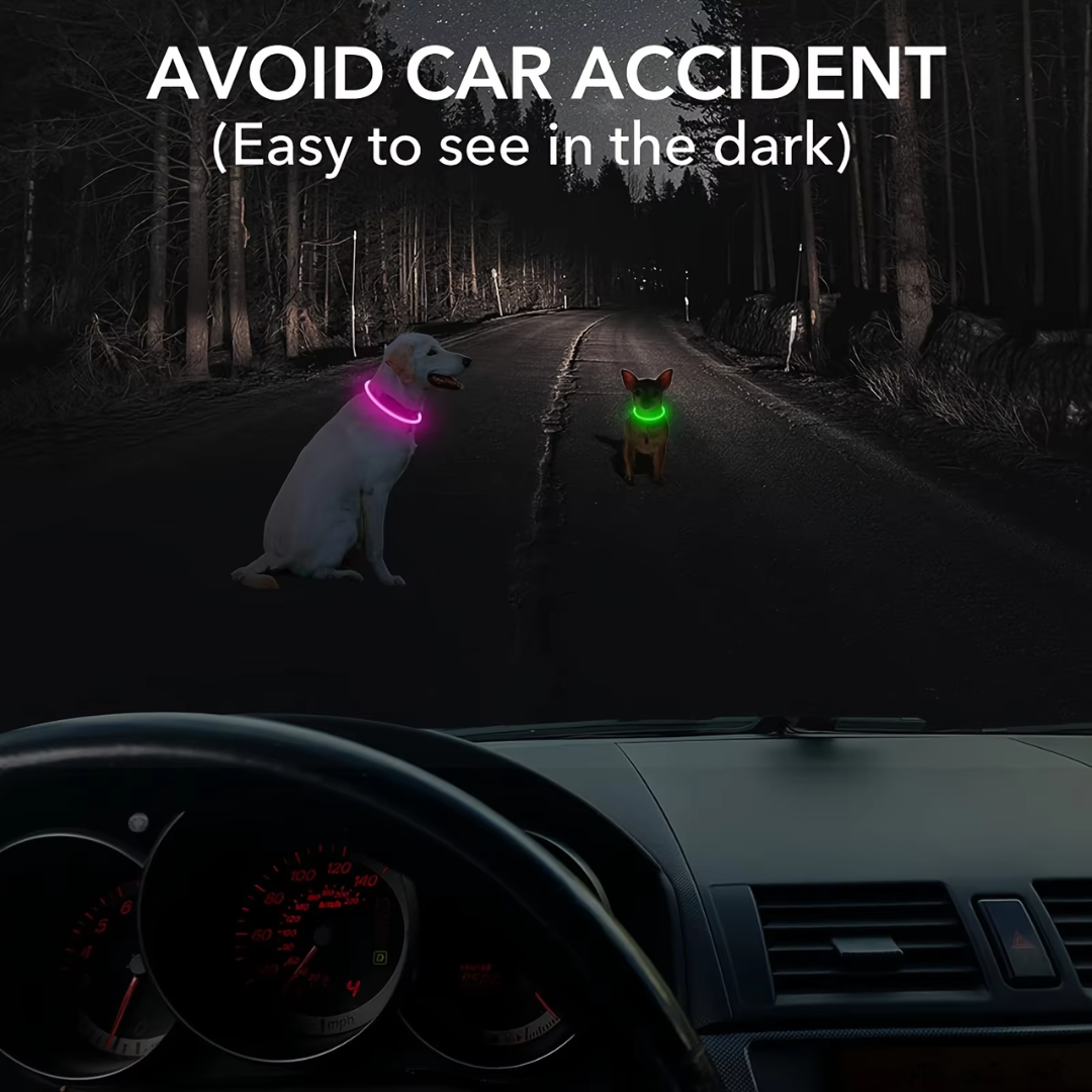 USB Rechargeable LED Dog Collar Safety Light