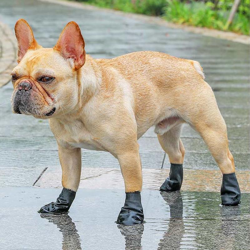 Waterproof Dog Boots for Paw Protection