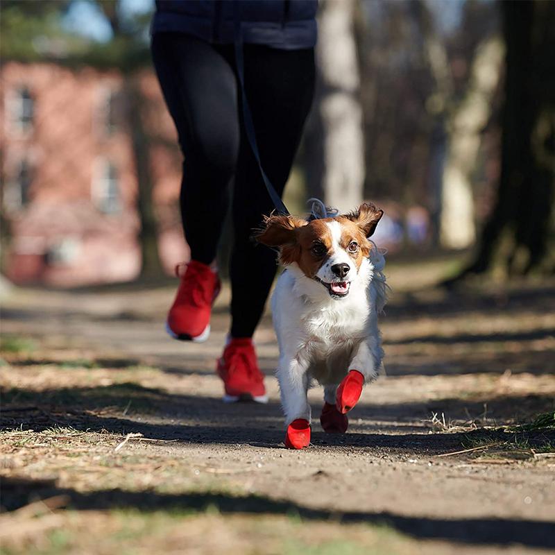 Waterproof Dog Boots for Paw Protection