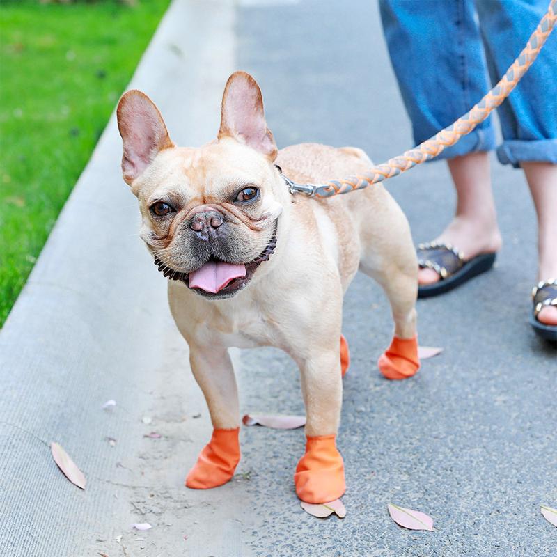 Waterproof Dog Boots for Paw Protection