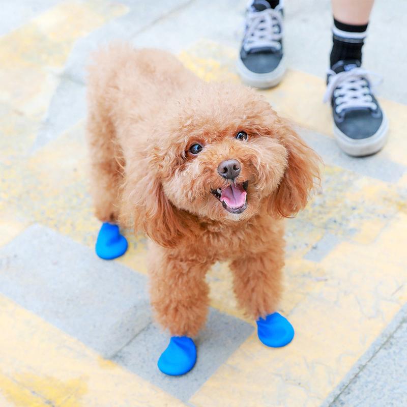 Waterproof Dog Boots for Paw Protection