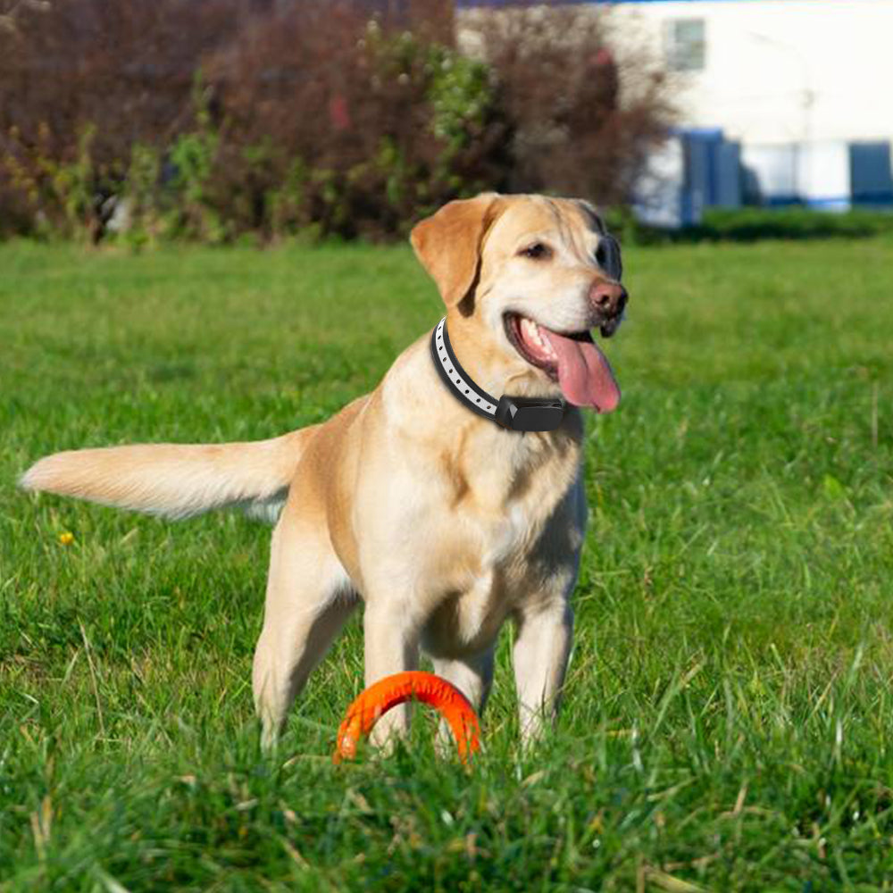 Wireless Pet Fence Containment System TZ-862